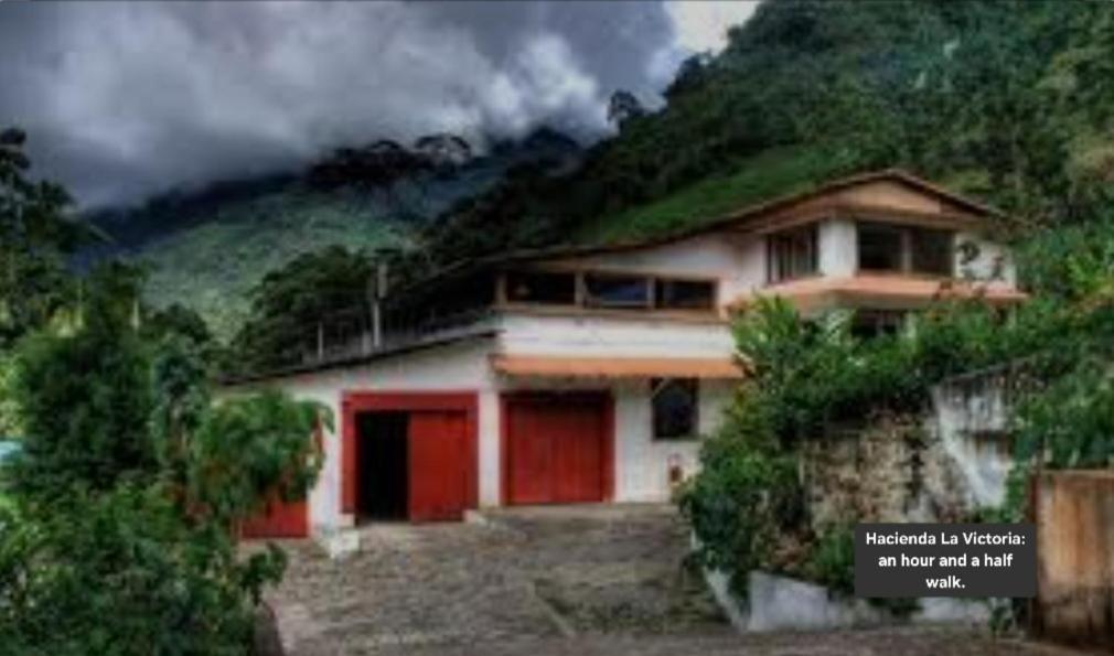 Hotel Minca Express Relax - Base Camp Bagian luar foto
